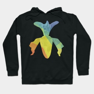 Really neat rainbow flower Hoodie